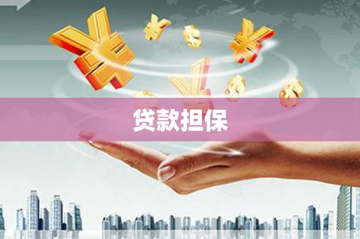 察雅贷款担保