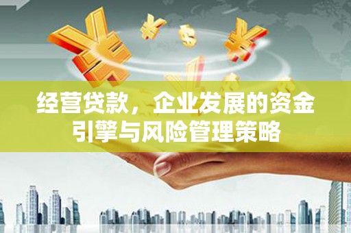 察雅经营贷款，企业发展的资金引擎与风险管理策略