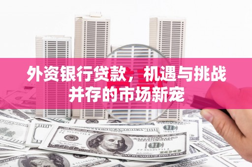 察雅外资银行贷款，机遇与挑战并存的市场新宠