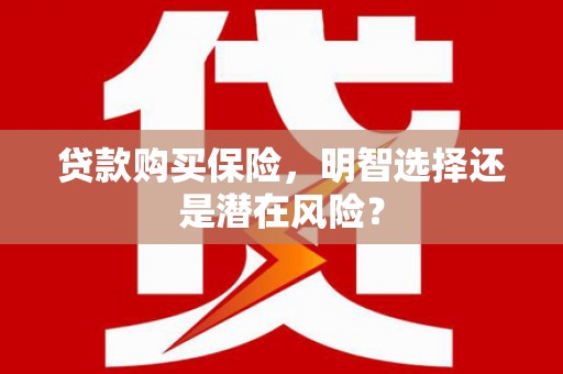 察雅贷款购买保险，明智选择还是潜在风险？
