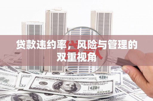 察雅贷款违约率，风险与管理的双重视角