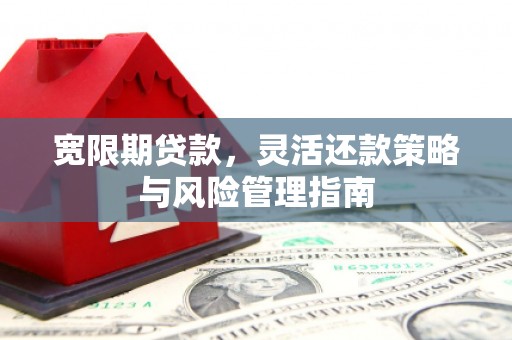 察雅宽限期贷款，灵活还款策略与风险管理指南