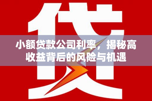 察雅小额贷款公司利率，揭秘高收益背后的风险与机遇