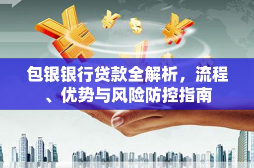 察雅包银银行贷款全解析，流程、优势与风险防控指南