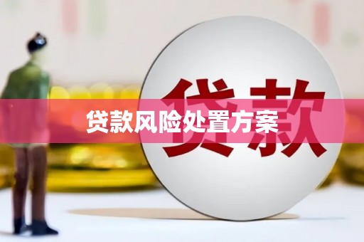 察雅贷款风险处置方案