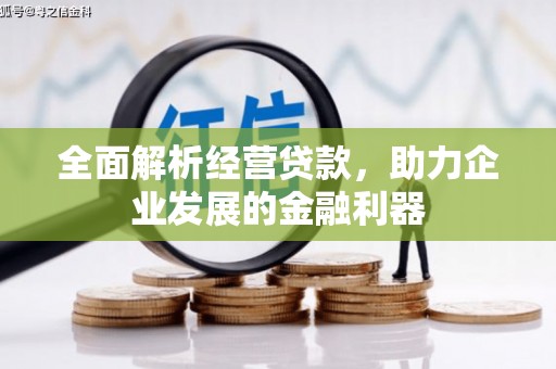 察雅全面解析经营贷款，助力企业发展的金融利器