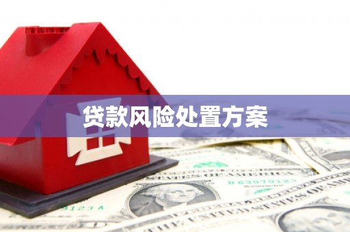 察雅贷款风险处置方案