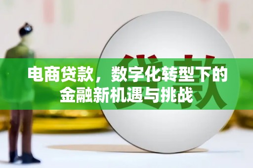 察雅电商贷款，数字化转型下的金融新机遇与挑战