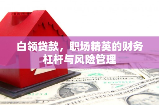 察雅白领贷款，职场精英的财务杠杆与风险管理
