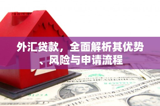 察雅外汇贷款，全面解析其优势、风险与申请流程