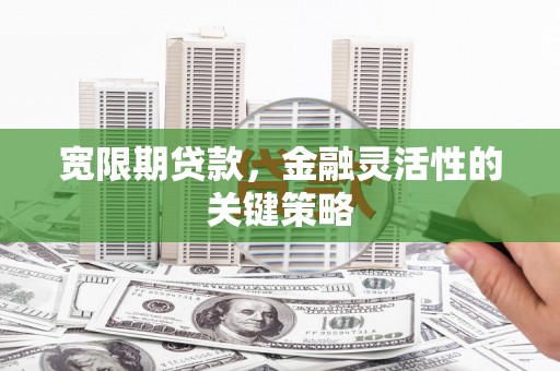 察雅宽限期贷款，金融灵活性的关键策略