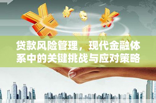 察雅贷款风险管理，现代金融体系中的关键挑战与应对策略
