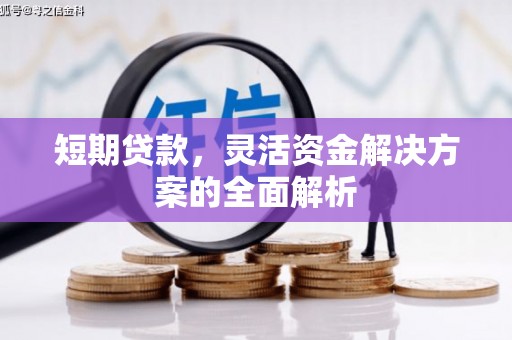 察雅短期贷款，灵活资金解决方案的全面解析