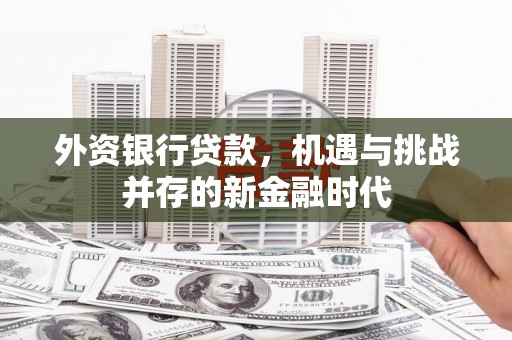 察雅外资银行贷款，机遇与挑战并存的新金融时代