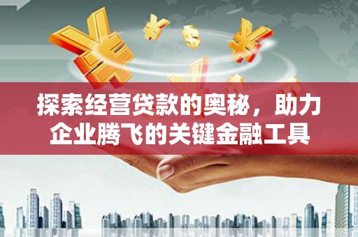 察雅探索经营贷款的奥秘，助力企业腾飞的关键金融工具