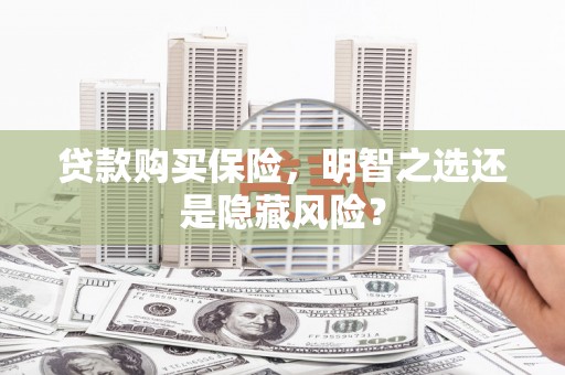 察雅贷款购买保险，明智之选还是隐藏风险？
