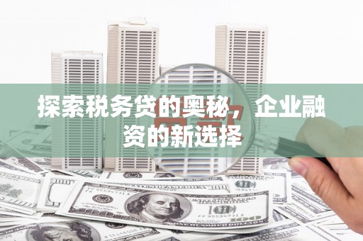 察雅探索税务贷的奥秘，企业融资的新选择