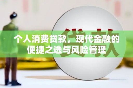 察雅个人消费贷款，现代金融的便捷之选与风险管理