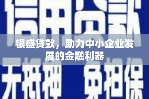 察雅银盛贷款，助力中小企业发展的金融利器