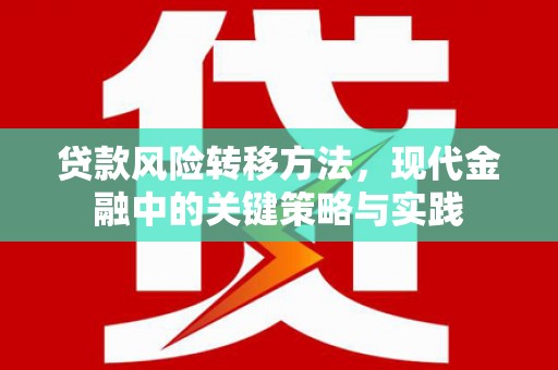 察雅贷款风险转移方法，现代金融中的关键策略与实践