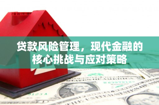 察雅贷款风险管理，现代金融的核心挑战与应对策略