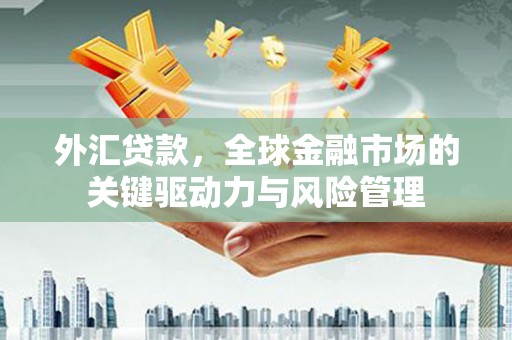 察雅外汇贷款，全球金融市场的关键驱动力与风险管理