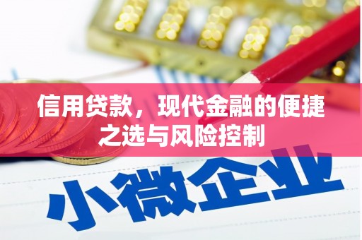 察雅信用贷款，现代金融的便捷之选与风险控制