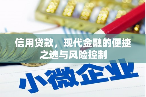 察雅信用贷款，现代金融的便捷之选与风险控制