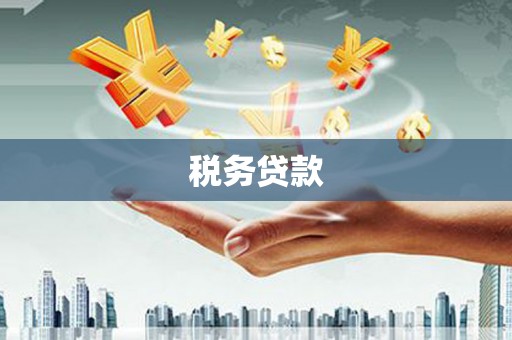 察雅税务贷款