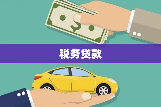 察雅税务贷款
