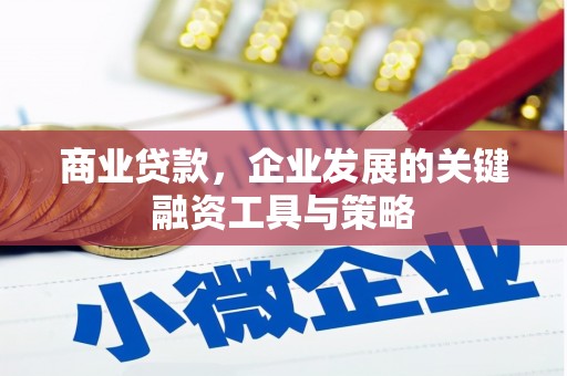 察雅商业贷款，企业发展的关键融资工具与策略