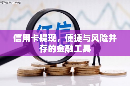 察雅信用卡提现，便捷与风险并存的金融工具