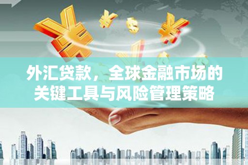 察雅外汇贷款，全球金融市场的关键工具与风险管理策略