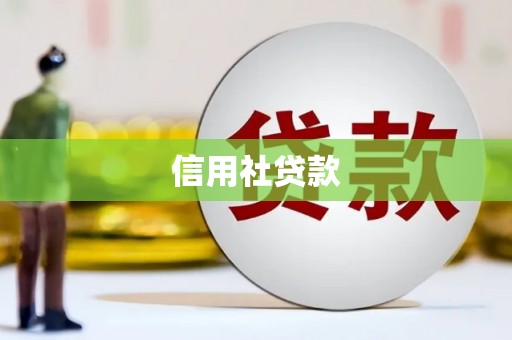 察雅信用社贷款