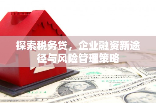 察雅探索税务贷，企业融资新途径与风险管理策略