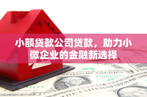 察雅小额贷款公司贷款，助力小微企业的金融新选择