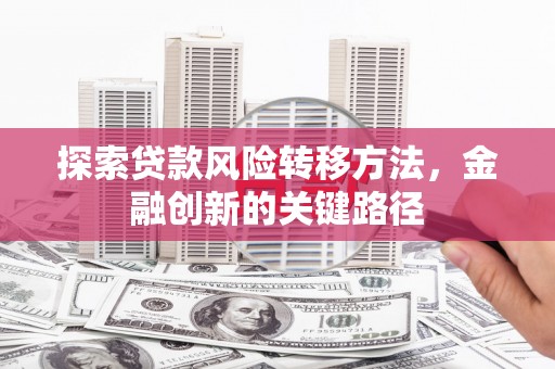 察雅探索贷款风险转移方法，金融创新的关键路径