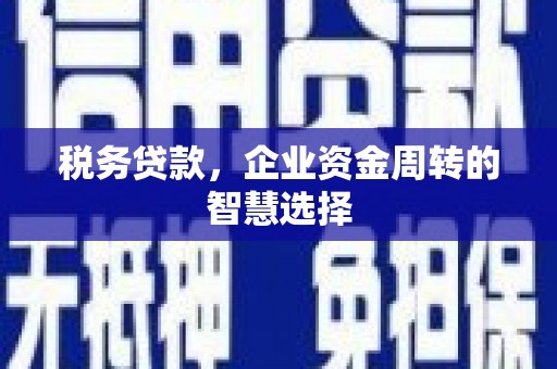 察雅税务贷款，企业资金周转的智慧选择