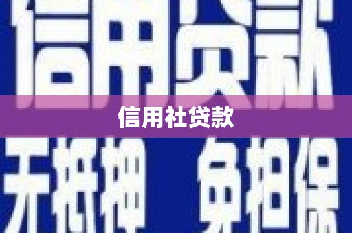 察雅信用社贷款
