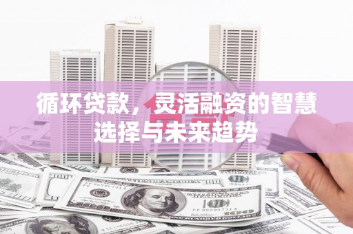 察雅循环贷款，灵活融资的智慧选择与未来趋势
