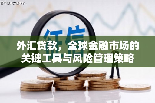 察雅外汇贷款，全球金融市场的关键工具与风险管理策略