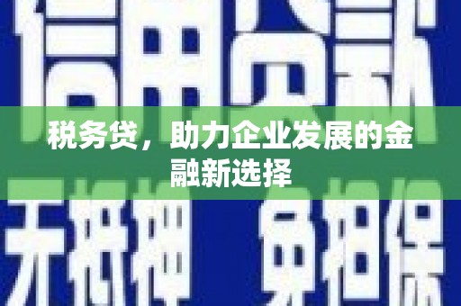 察雅税务贷，助力企业发展的金融新选择