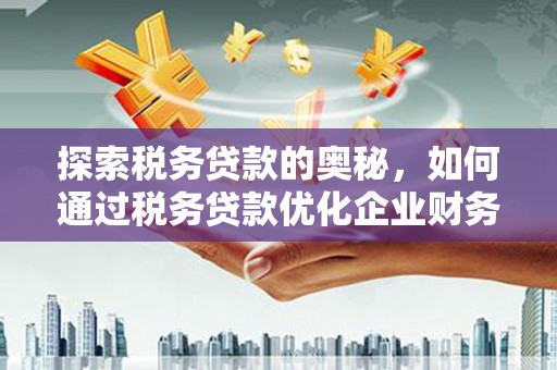 察雅探索税务贷款的奥秘，如何通过税务贷款优化企业财务