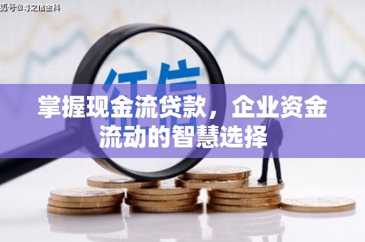 察雅掌握现金流贷款，企业资金流动的智慧选择