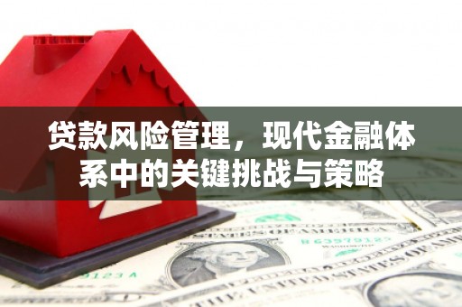 察雅贷款风险管理，现代金融体系中的关键挑战与策略