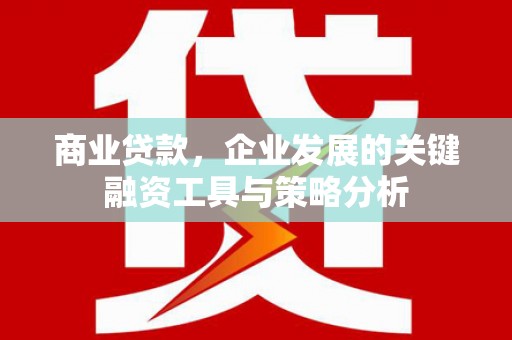 察雅商业贷款，企业发展的关键融资工具与策略分析