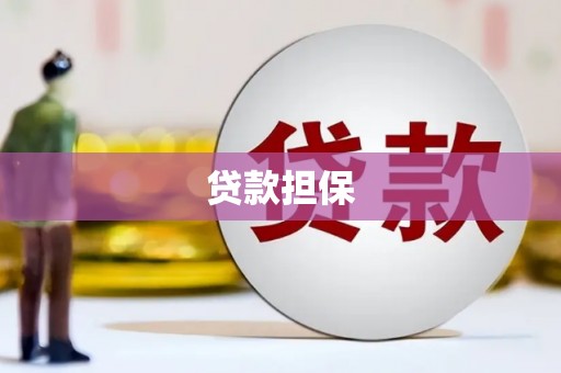 察雅贷款担保