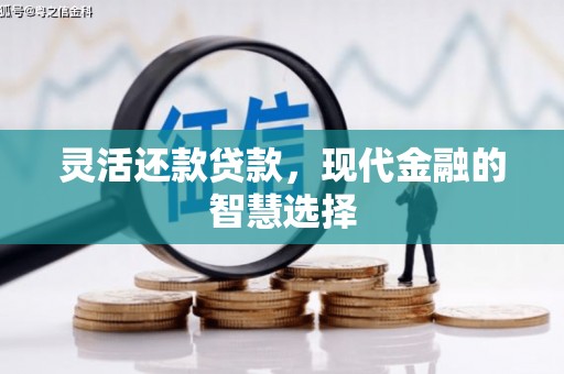 察雅灵活还款贷款，现代金融的智慧选择
