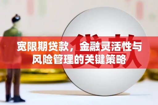 察雅宽限期贷款，金融灵活性与风险管理的关键策略