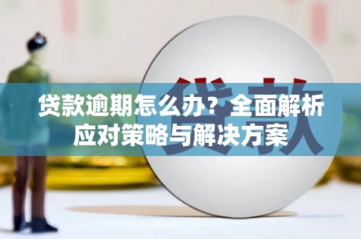 察雅贷款逾期怎么办？全面解析应对策略与解决方案